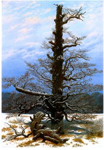 Német: Eichbaum im Schnee A tölgyfa a hóban alkotó: Caspar David Friedrich