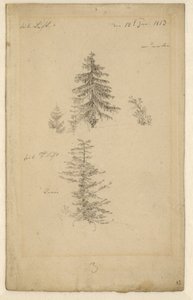 Német: Zwei Tannenstudien Két tanulmány fenyőfákról alkotó: Caspar David Friedrich