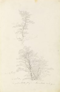 Fiatal fák csoportja alkotó: Caspar David Friedrich
