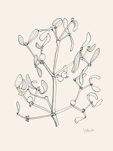 Ünnepi fagyöngy vázlatrajz