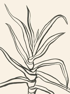 Minimalista növényvázlat