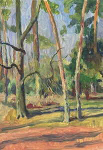 Napfényes erdei ösvény