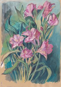 Élénk rózsaszín virágok