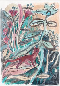 Szeszélyes dzsungelmacska