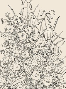 Vadvirágok alkotó: Catalina Somolinos