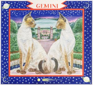 Gemini (wc papíron)