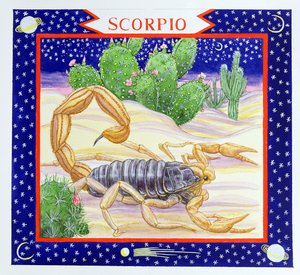 Skorpió (wc papíron)