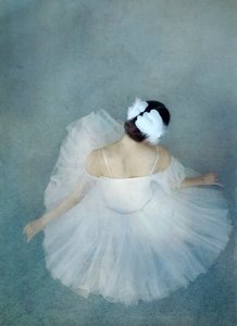 Elegáns Ballerina Swan alkotó: Catherine Wang