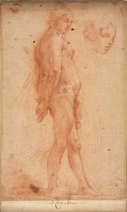 Egy álló férfi akt tanulmányozása, a fej tanulmányozása háromnegyedes profilban, c. 1640. alkotó: Cecco Bravo