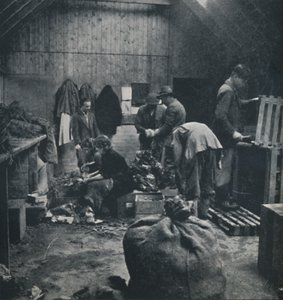 Zöldségek piacra, 1941