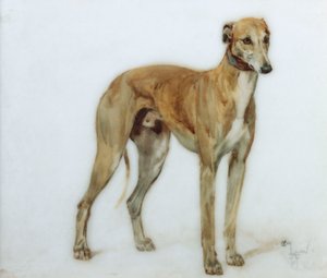 Egy őzbarna agár, 1897