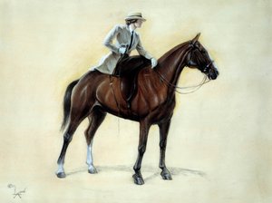 Elegáns kavalier, aki az Amazonasba emelkedik. Cecil Aldin (1870-1935) rajza 19. század Magángyűjtemény alkotó: Cecil Charles Windsor Aldin