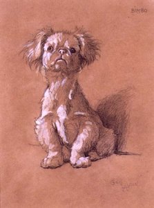 Bimbo (ceruza és gouache papíron) alkotó: Cecil Charles Windsor Aldin