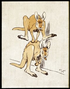 Képregény kenguruk. Két kenguru birkaugrást játszik. alkotó: Cecil Charles Windsor Aldin