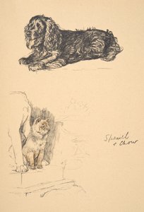 Spániel és csau, 1930, Illusztrációk a vázlatfüzetéből, amelyet a Csak a barátok között, Aldin, Cecil Charles Windsor (1870-1935) számára használt, később kiadó: Eyre and Spottiswoode Limited, 1934, Chalk and Char alkotó: Cecil Charles Windsor Aldin