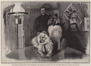 A Jackson-Harmsworth sarki expedíció, Mr Jackson otthon a két legjobb medvekutyájával, Nimróddal és Ravinggel alkotó: Cecil Charles Windsor Aldin
