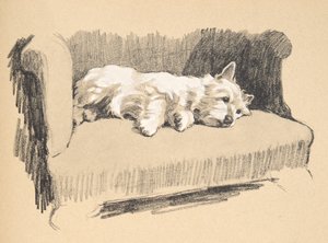 West Highlander, 1930, Illusztrációk a vázlatfüzetéből, a „Csak a barátok között”, Aldin, Cecil Charles Windsor (1870-1935), később Eyre és Spottiswoode Limited, 1934, Chalk and Cha alkotó: Cecil Charles Windsor Aldin