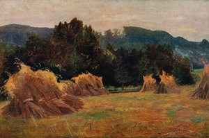 Meifod völgye, 1873