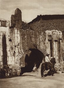 Mexikó: Oaxaca, Tuberia espanola (f/w fotó)