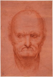 Öreg feje, c. 1515 (vér előkészített piros papíron) alkotó: Cesare da attr.to Sesto