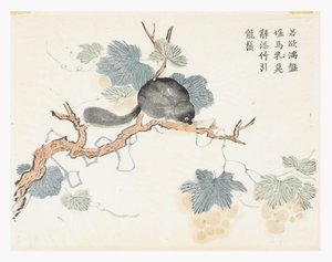 Mustármagos kert alkotó: Chang Chao