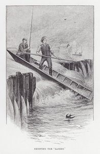 Adathalászat: „hullák” lövöldözése (litho) alkotó: Charles (after) Whymper