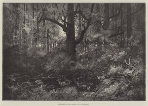 Az Erdő Szíve alkotó: Charles Auguste Loye
