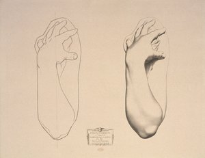 Bent Arm of a Woman, 22. lemez a Cours de Dessin I. kötetéből, Modeles dapres la bosse, 1868 körül