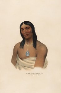 A-na-cam-e-gish-ca alkotó: Charles Bird King