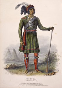 ASSEOLA, A SEMINOLE VEZETŐ, az Észak-Amerika indián törzseinek története című könyvből. alkotó: Charles Bird King