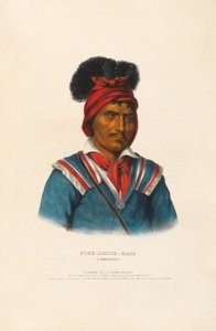 Foke-Luste-Hajo – A Seminole