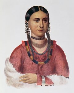 Hayne Hudjuhini avagy az „Öröm sasa”, illusztráció a „The Indian Tribes of North America, Vol.1”, Thomas L. McKenney és James Hall, pub. írta John Grant