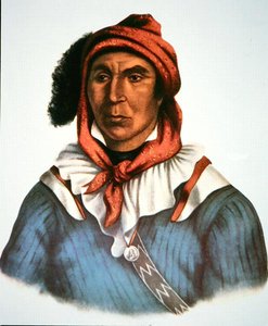 Julcee Mathla alkotó: Charles Bird King