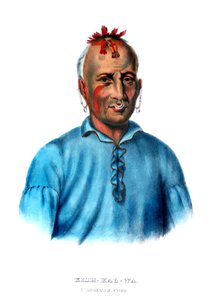 Kishkalwa, Shawnee főnöke alkotó: Charles Bird King
