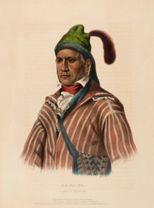 ME-NA-WA. A CREEK WARRIOR, az Észak-Amerika indián törzseinek története című könyvből. alkotó: Charles Bird King