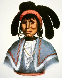 Micanopy (megh. 1849) 1826 körül (színes litó) alkotó: Charles Bird King