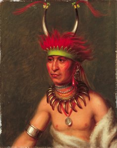 Monchousia (fehér toll), Kansa alkotó: Charles Bird King