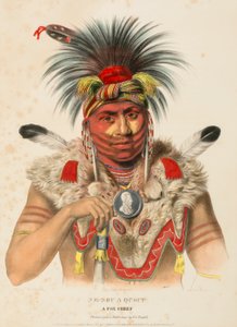 NE-SOU-A-QUOIT. A FOX CHIEF., az Észak-Amerika indián törzseinek története című könyvből. alkotó: Charles Bird King