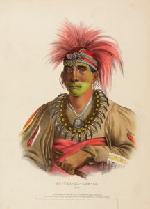 NO-WAY-KE-SUG-GA. OTOE., az Észak-Amerika indián törzseinek történetéből. alkotó: Charles Bird King