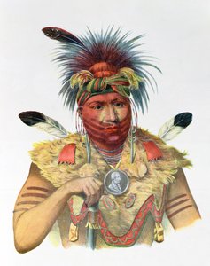Ne-Sou-A-Quoit, egy rókafőnök, illusztráció az „Észak-Amerika indián törzseiből”, Thomas L. McKenney és James Hall, pub. írta John Grant