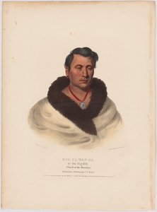 Ong-pa-ton-ga alkotó: Charles Bird King