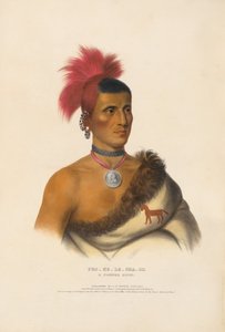 Pes-ke-le-cha-co - Egy pawnee törzsfőnök alkotó: Charles Bird King