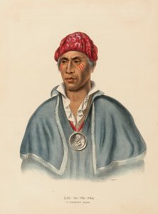 QUA-TA-WA-PLA. A SHAWANOE CHIEF az Észak-Amerika indián törzseinek történetéből alkotó: Charles Bird King