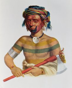 Shau-Hau-Napo-Tinia, Iowa főnöke, 1837, illusztráció a „The Indian Tribes of North America, Vol.1”, Thomas L. McKenney és James Hall, pub. írta John Grant alkotó: Charles Bird King