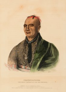 THAYENDANEGEA. A HAT NEMZET NAGY KAPITÁNYA, az Észak-Amerika indián törzseinek történetéből alkotó: Charles Bird King