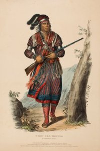 TUKO-SEE-MATHLA. A SEMINOLE CHIEF., az Észak-Amerika indián törzseinek története című könyvből. alkotó: Charles Bird King