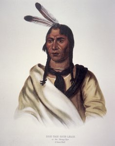 "Az álmos szem" alkotó: Charles Bird King