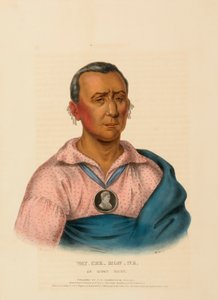 WAT-CHE-MON-NE, AN IOWAY CHIEF., az Észak-Amerika indián törzseinek története című könyvből. alkotó: Charles Bird King