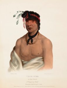 WESH-CUBB. A CHIPPEWAY CHIEF., Az észak-amerikai indián törzsek történetéből. alkotó: Charles Bird King