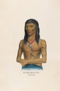 Wa-bish-kee-pe-nas - A fehér galamb alkotó: Charles Bird King